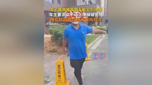 女子遛狗尿车轮引冲突，车主竟怒砸砖头