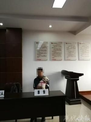 因为一只5000块的博美犬，他把宠物店告上了法庭！ 第1张