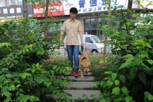 青岛现首家个性订制“宠物酒店”