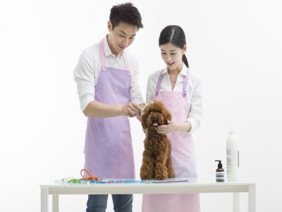 宠贝贝宠物用品加盟
