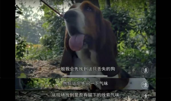 （图源 二更视频）