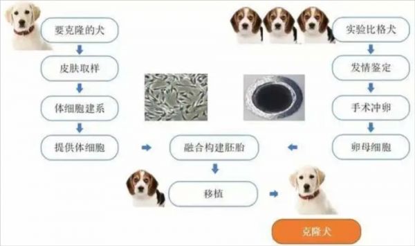 （图源 看看新闻Knews）