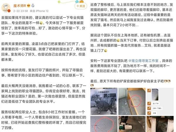 凭毛发和爪印几分钟“破案”的宠物侦探火了，但行业待成熟还需谨慎鉴别