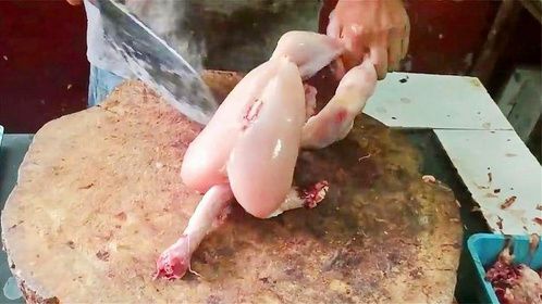 见识一下印度人杀鸡神操作，脱毛不用开水烫，十几秒搞定一只鸡