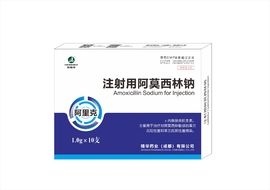 1g注射用阿莫西林钠