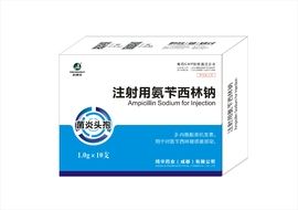 1g注射用氨苄西林钠