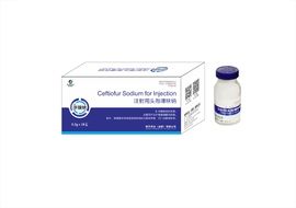 0.5g注射用头孢噻呋钠