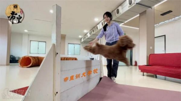 训练现场