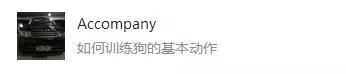 关于狗狗基本训练的方法