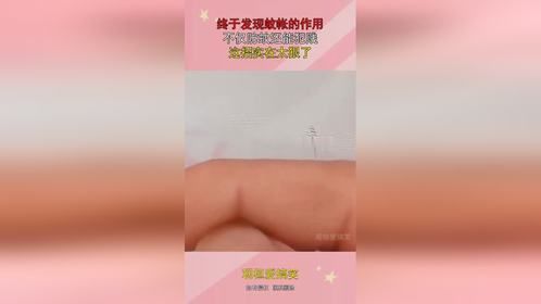 终于发现蚊帐的作用，不仅防蚊还能犯贱，这招实在太狠了！