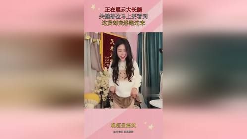正在展示大长腿，关键部位马上要看到，这货却突然跑过来！