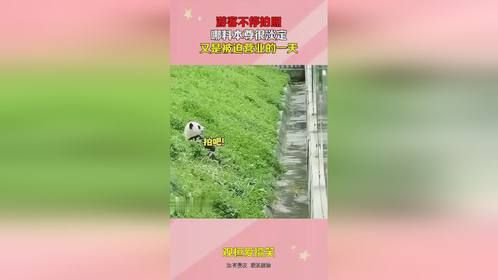 游客不停拍照，哪料本尊很淡定，又是被迫营业的一天！
