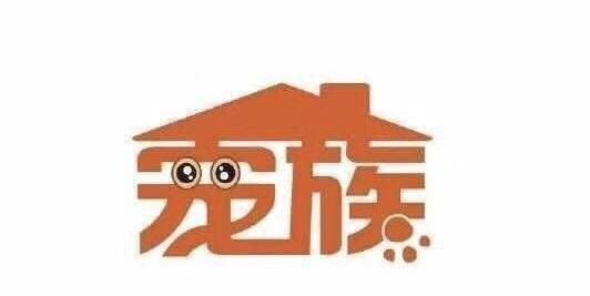 宠物与人的关系代表一种精神和情感的寄托代表了一种对生命的态度