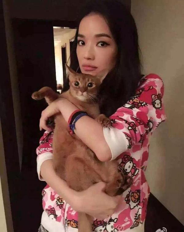 宠物与人的关系代表一种精神和情感的寄托代表了一种对生命的态度