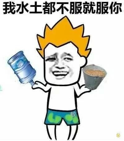 宠物体重管理:你家宠物体重达标了吗?