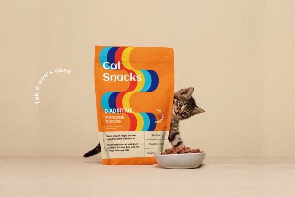 图片11