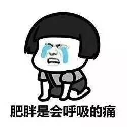 肥胖是会呼吸的痛，你家毛孩子的身材达标吗？