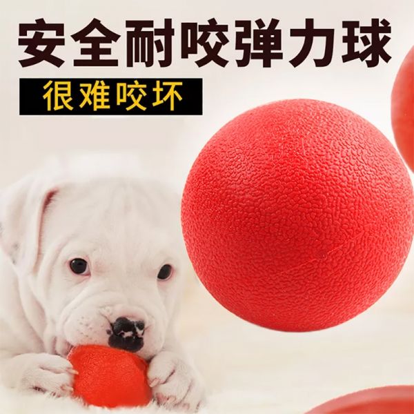 宠物狗玩具橡胶球巡回米妮训练实心弹力球泰迪金毛训狗训犬用品 小号直径4.5cm