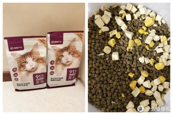 猫粮测评1丨猫粮什么牌子好?猫粮性价比推荐,深度猫粮测评分析