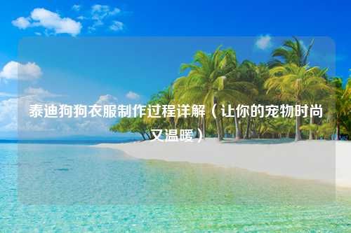 泰迪狗狗衣服制作过程详解（让你的宠物时尚又温暖）