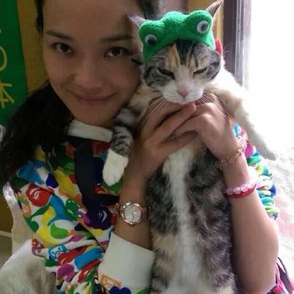 明星宠物也时尚？陈赫狗狗打扮精致，胡歌猫咪戴蝴蝶结显绅士！