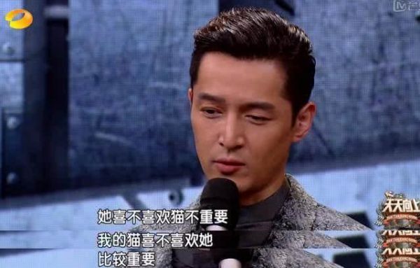 明星宠物也时尚？陈赫狗狗打扮精致，胡歌猫咪戴蝴蝶结显绅士！
