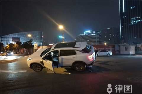 宠物发生了交通事故应当如何赔偿