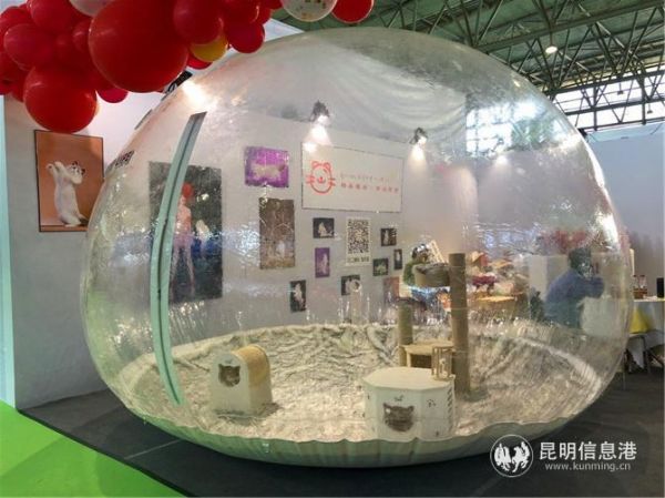 巨大的宠物天地。