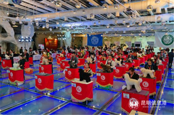宠物美容师资格鉴定