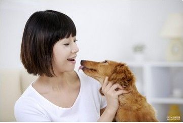 怎样知道狗狗是健康的，如何判断狗狗健康