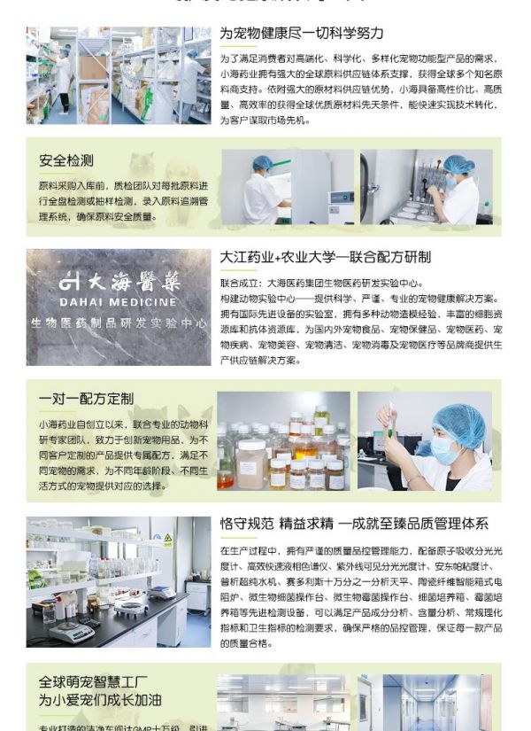 详情11
