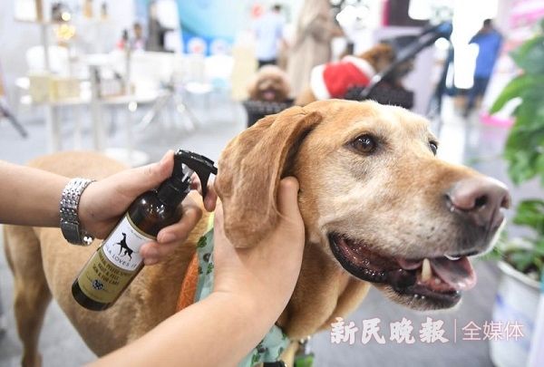 微信图片_20190430110903.jpg