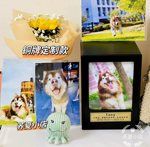 宠物骨灰盒金毛大型犬狗猫收纳实木火化哈士奇殡葬纪念棺材盒
