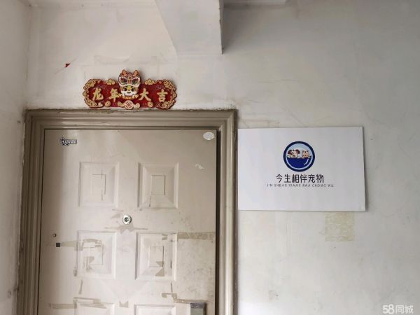 昆明宠物用品/食品·宠物销售、寄养、猫粮猫砂，价格经济实惠