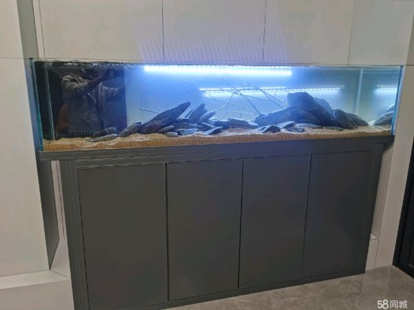昆明宠物用品/食品·网红溪流缸订做