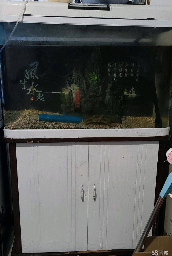 昆明宠物用品/食品·80*40的鱼缸，配件齐全买了就能养鱼，个人家的只是买了大缸所以低价出
