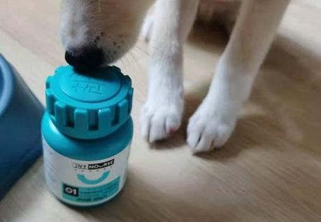 狗狗可以吃人用的钙片吗？狗狗专用乳钙片get下