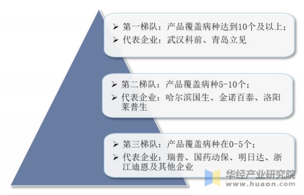 中国兽用诊断制品行业竞争梯队情况
