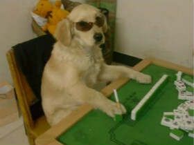 宠物犬轻轻咬伤手背，上海一位38岁的男子病发身亡