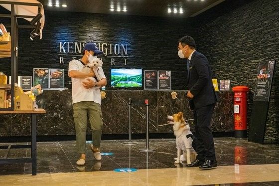 肯尼的主要工作是接待顾客。根据客人入住、退房的时间，准时来到大厅迎接顾客。