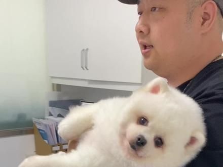 新北方宠物医院成年家犬58、幼犬48 猫猫也可以体检#跟着抖音来探店 #我的探店日记 #大连 #大连宠物 #宠物医院