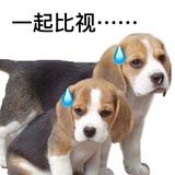 小狗拯救世界