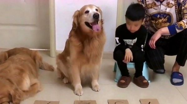 李宇辉本以为能在家里有地位，结局搞笑啦