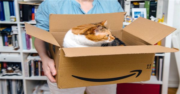 做亚马逊宠物用品类，采用什么营销策略？
