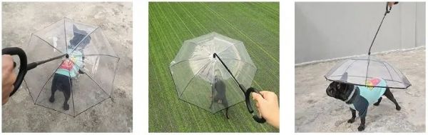不断有链接被下架！？一波热销宠物用品“悄悄布局专利”，紧急规避！
