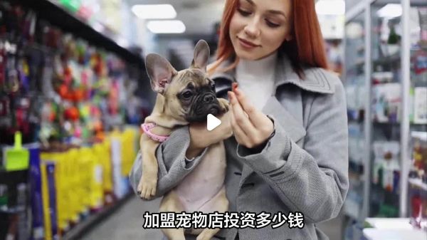 加盟宠物店投资多少钱,以下信息要了解!