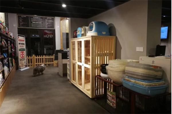 郑州宠物用品店投资多少钱?宠物经济的新机遇,轻松开启创业之路!