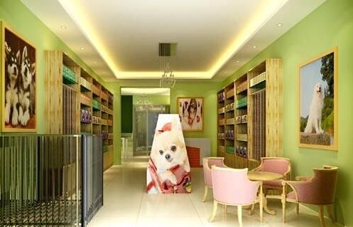 干宠物店需要投资多少钱?全面解析宠物行业的创业成本与机会