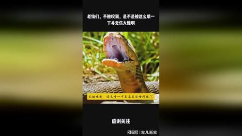 老铁们，不被咬到，是不是被这么喷一下并无伤大雅啊