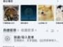 怎么领养QQ音乐中的音乐宠物